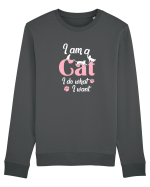 I am a CAT Bluză mânecă lungă Unisex Rise