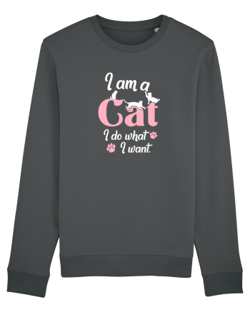 I am a CAT Anthracite