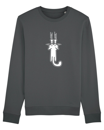 CAT scratch Anthracite