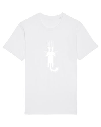 CAT scratch White