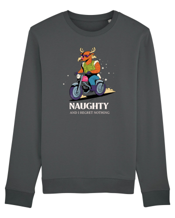 Naughty and I regret nothing - Rudolf Anthracite