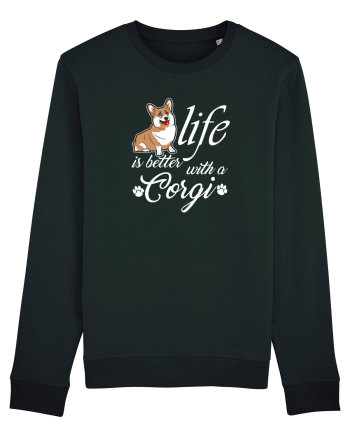 Corgi Black