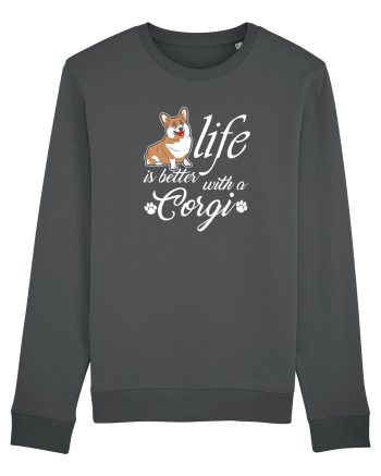 Corgi Anthracite