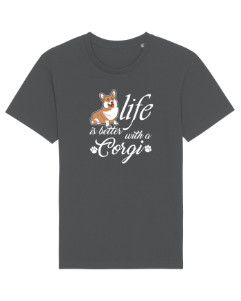 Corgi Anthracite