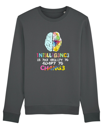 Inteligence Anthracite