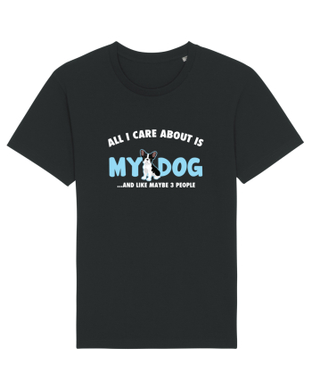 My Dog Black