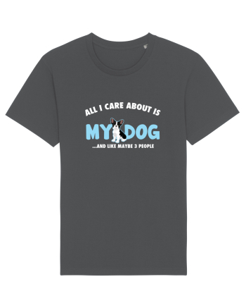 My Dog Anthracite