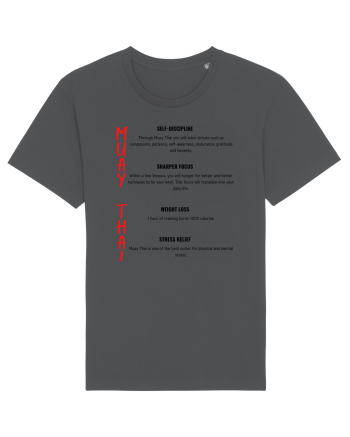 muat thai self Anthracite