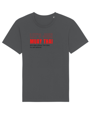 let s join muay thai Anthracite