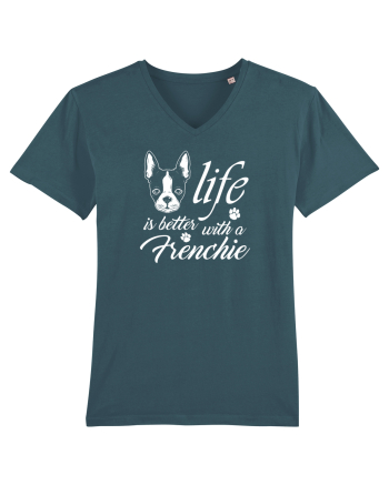 Frenchie Stargazer