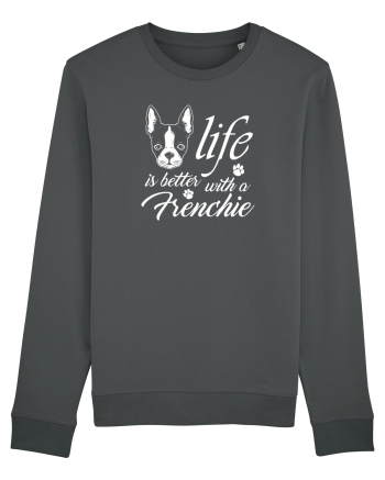 Frenchie Anthracite