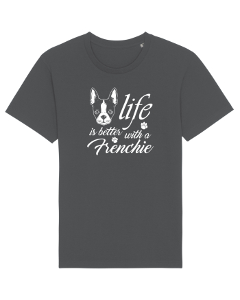 Frenchie Anthracite