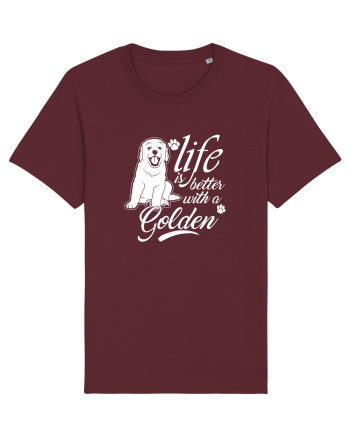Golden retriever Burgundy