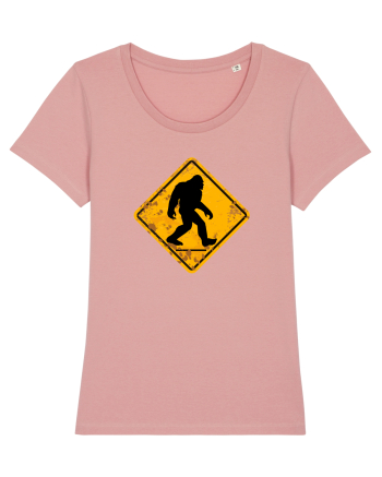 Yeti Canyon Pink