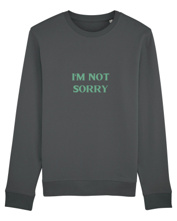 i am not sorry Anthracite