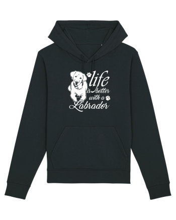 Labrador Black