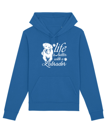 Labrador Royal Blue