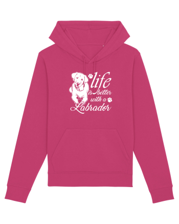 Labrador Raspberry