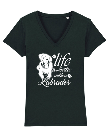 Labrador Black