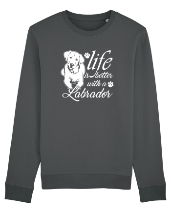 Labrador Anthracite