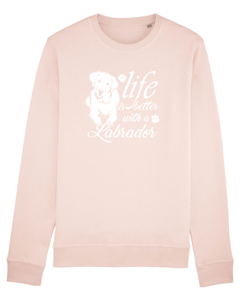 Labrador Candy Pink