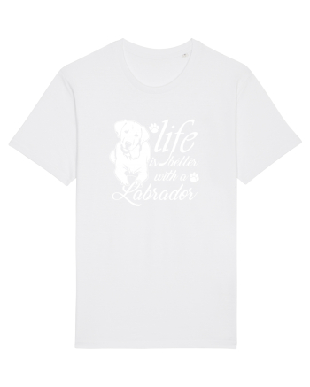 Labrador White