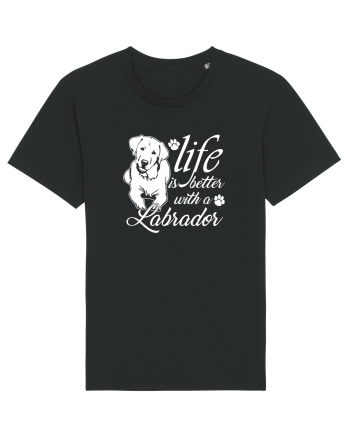 Labrador Black