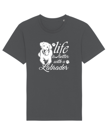 Labrador Anthracite