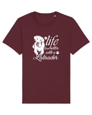 Labrador Burgundy