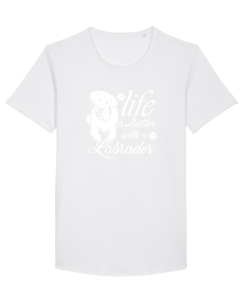 Labrador White