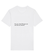 are you a loan?... Tricou mânecă scurtă Unisex Rocker