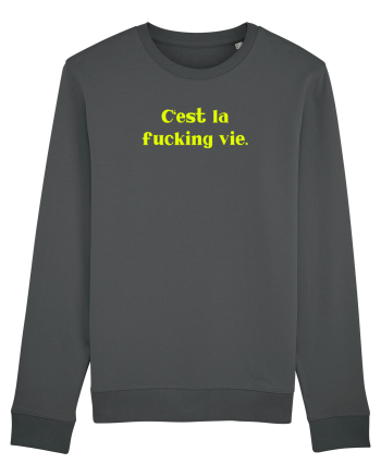 c est la fucking vie Anthracite