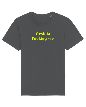 c est la fucking vie Anthracite