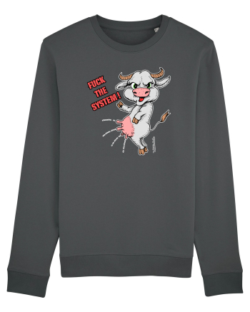 Fuck the system Anthracite