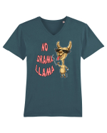DRAMA LLAMA Tricou mânecă scurtă guler V Bărbat Presenter