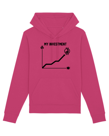 My investment Raspberry