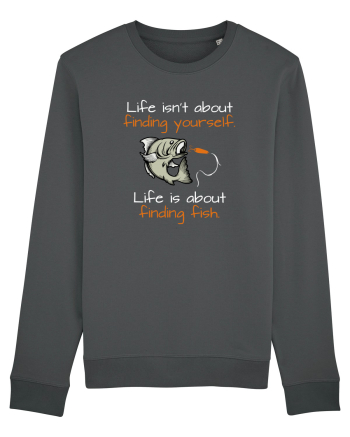 Life is about finding fish Anthracite