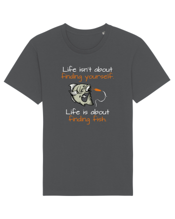 Life is about finding fish Anthracite