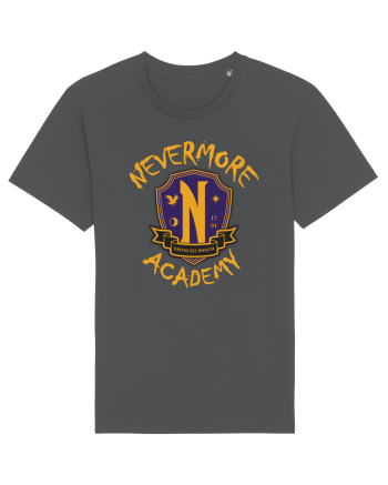 Nevermore Academy Anthracite