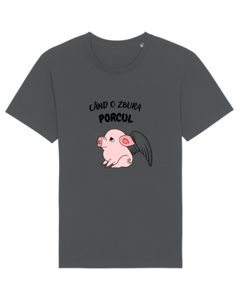 cand o zbura porcul Anthracite