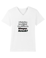 singur acasa Tricou mânecă scurtă guler V Bărbat Presenter