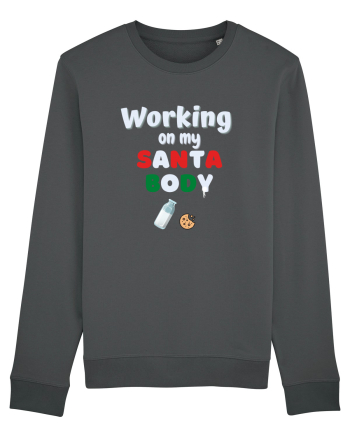working on my santa body Anthracite