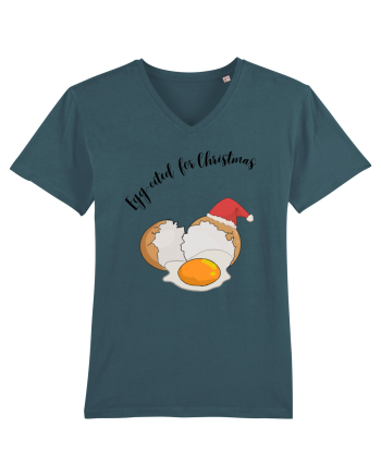 egg cited for christmas Stargazer