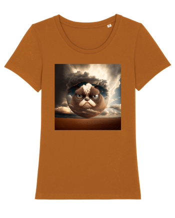 Grumpy Sphere Cat Roasted Orange