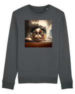Grumpy Sphere Cat Bluză mânecă lungă Unisex Rise