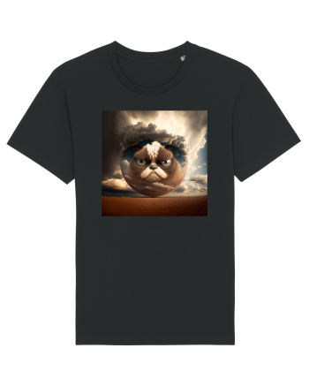 Grumpy Sphere Cat Black