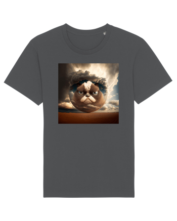 Grumpy Sphere Cat Anthracite