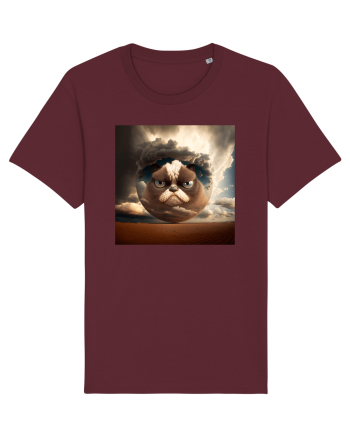 Grumpy Sphere Cat Burgundy