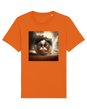 Grumpy Sphere Cat Bright Orange