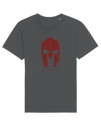 Spartan Anthracite
